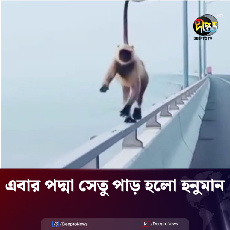 পদ্মা সেতু পার হলো হনুমান, দেখুন ভিডিও