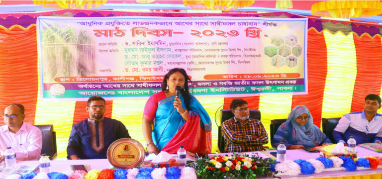 ঝিনাইদহে মাঠ দিবস পালিত