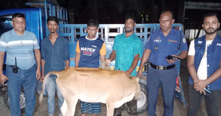নলছিটিতে গরু চুরির অভিযোগে দুইজন গ্রেপ্তার