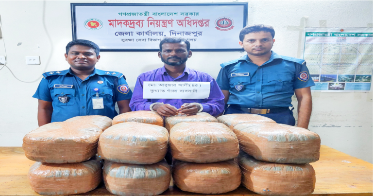 দিনাজপুরে ৫০ কেজি গাঁজাসহ আটক ১