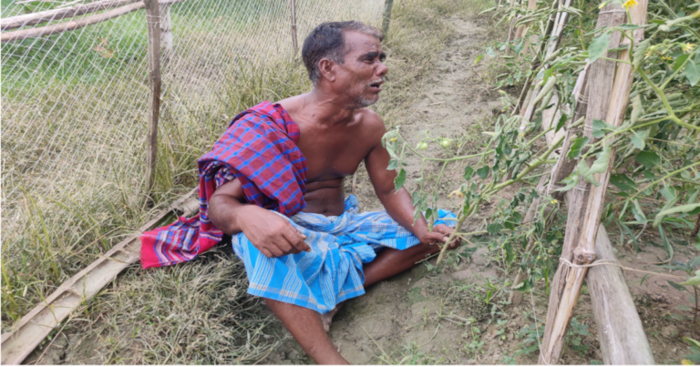 চিরকুট ফেলে বর্গাচাষীর সব্জি ক্ষেত কর্তন