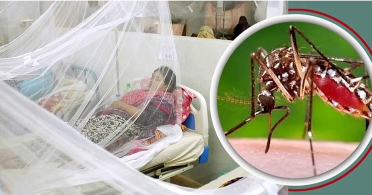 টাঙ্গাইলে ডেঙ্গুতে নতুন আক্রান্ত ৩২