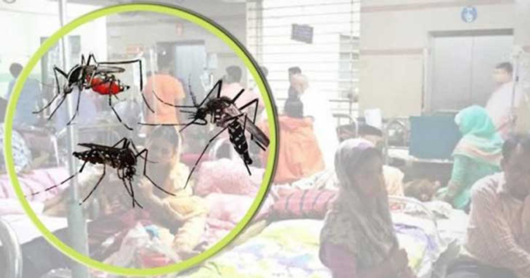 বরগুনায় ডেঙ্গুতে যুবকের মৃত্যু