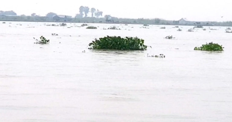 টাঙ্গাইলের প্রায় সকল নদ নদীর পানি কমতে শুরু করেছে