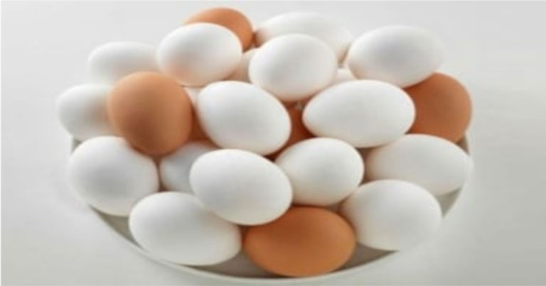 আজ বিশ্ব ডিম দিবস