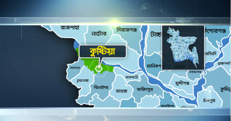 বিএনপি আইন মানে না, বিচার ব্যবস্থা মানে না : মাহবুবউল আলম
