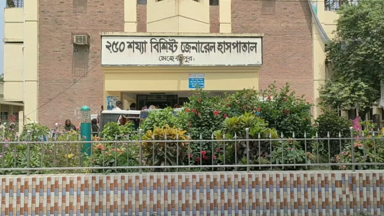 মেহেরপুরে বিদ্যুৎপৃষ্টে গৃহবধুর মৃত্যু