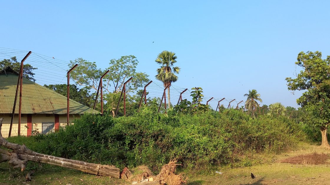 বিএসএফ এর গুলিতে কলেজ পড়ুয়া ছাত্র আহত