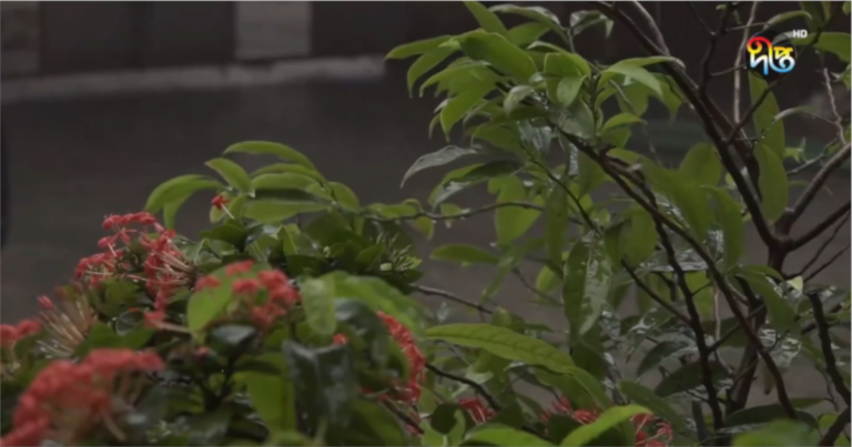 বৃষ্টিতে নাজেহাল রাজধানীবাসী