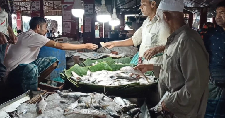 এক মন পাট বিক্রি করেও মিলছে না ইলিশ