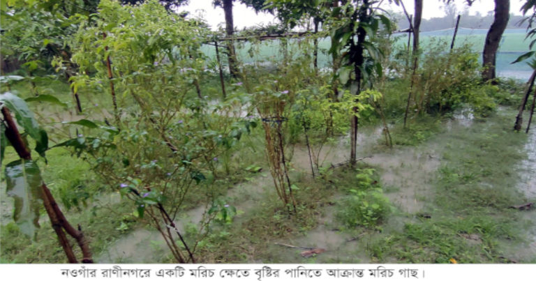 নওগাঁয় বন্যা পরিস্থিতির কিছুটা অবনতি