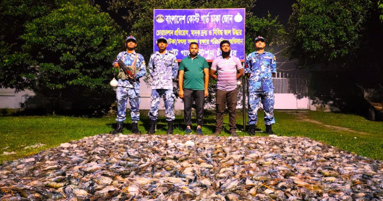 চাঁদপুরে জেলি পুশকৃত চিংড়ি জব্দ