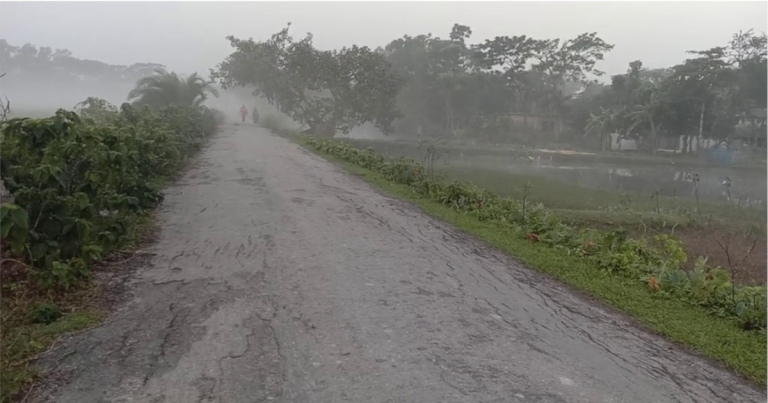 কুয়াশার সঙ্গে পটুয়াখালীতে বেড়েছে শীতের তীব্রতা