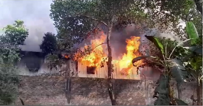 গাজীপুর পোল্ট্রি ফিড মিলে আগুন