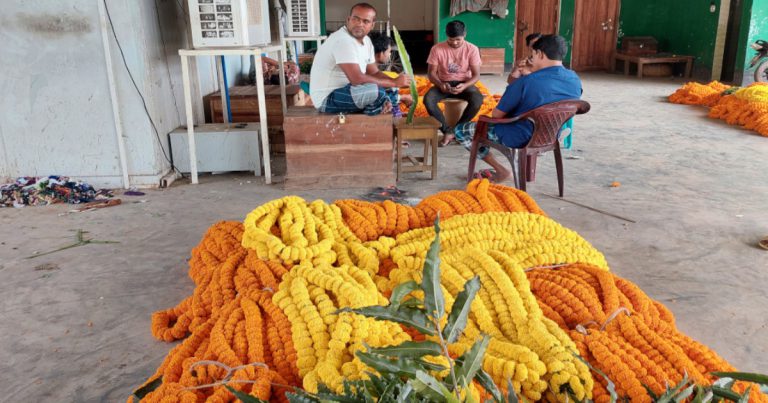 হরতাল-অবরোধে ফুল ব্যবসায় ধ্বস, দাম পাচ্ছেন না চাষীরা