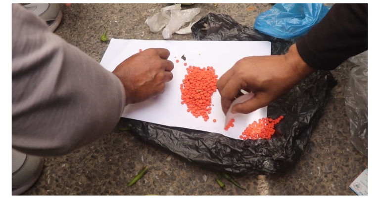 এক বেগুনে ১৬’শ পিস ইয়াবা !