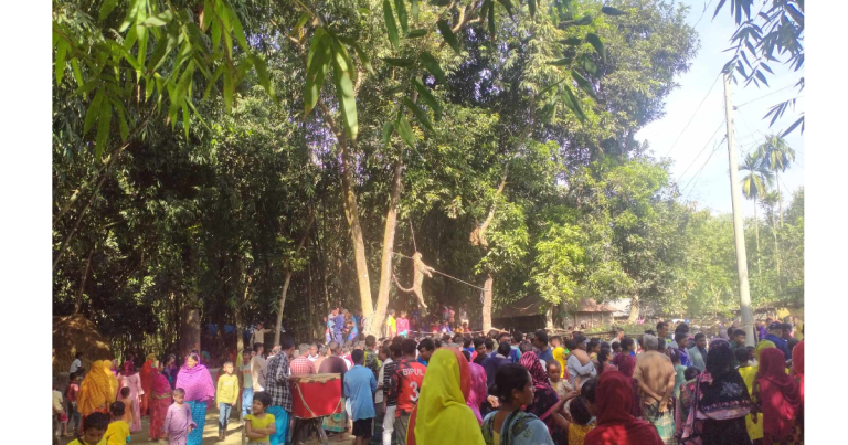 নীলফামারীতে চিতা বাঘের আক্রমণ