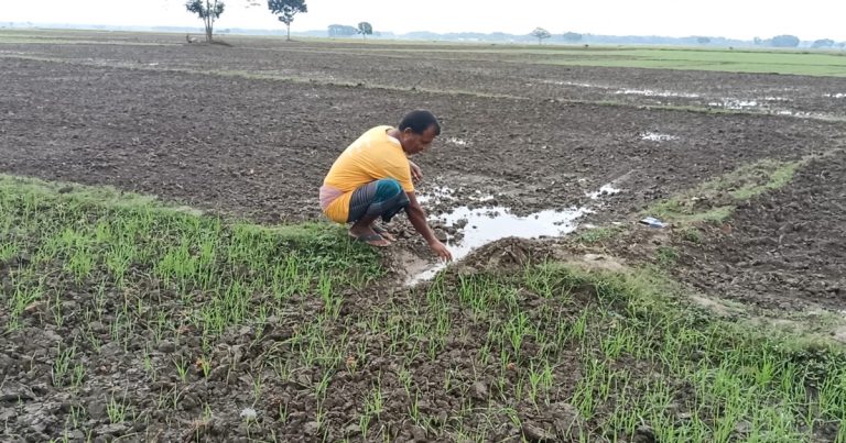 অসময়ের বৃষ্টিতে রবিশস্যের ব্যাপক ক্ষতির আশঙ্কা