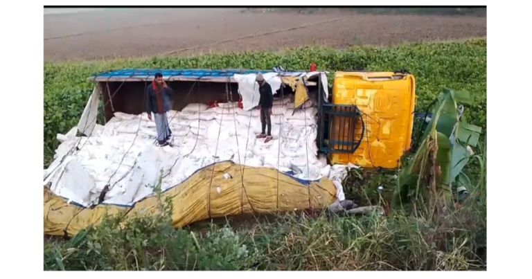 নাটোরে ট্রাক খাদে পড়ে চালকের মৃত্যু