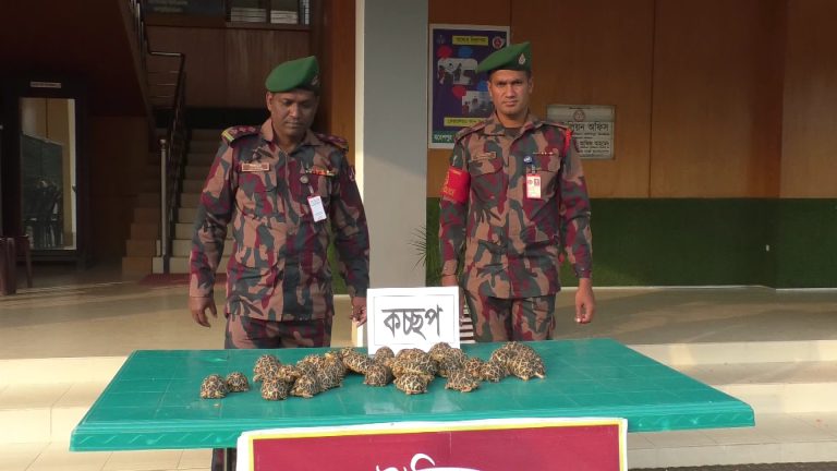 ৪০টি বিরল প্রজাতির কচ্ছপ উদ্ধার