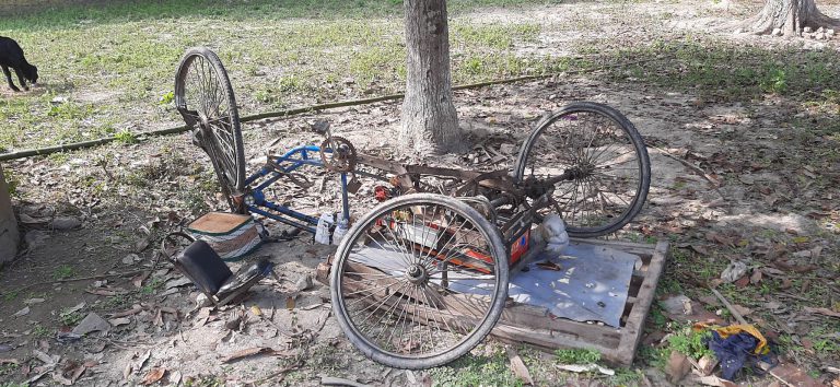 রাজশাহীতে বাসের ধাক্কায় শিশুসহ ভ্যান চালক নিহত
