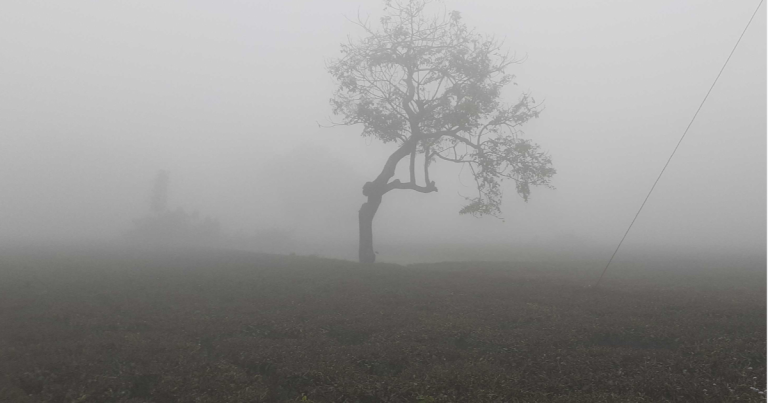 মাঘের শুরুতে ঢাকাসহ সারাদেশে বৃষ্টির সম্ভাবনা