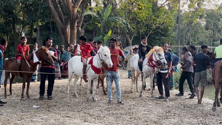 নড়াইলে ঘোড়দৌড় প্রতিযোগিতা দেখতে দর্শনার্থীদের ভিড়