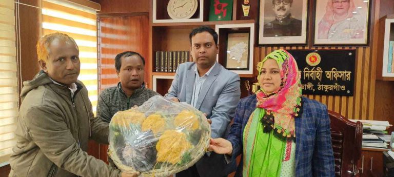 ঠাকুরগাঁওয়ে বাড়ছে রঙিন ফুলকপির চাষ