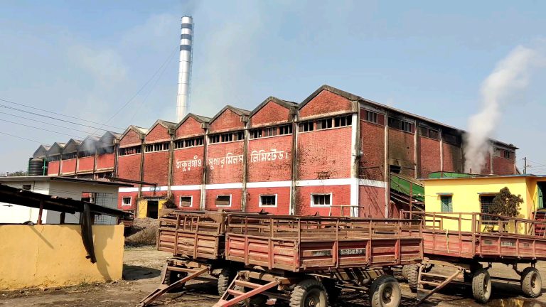 আখ চাষে ঝুঁকছে চাষিরা