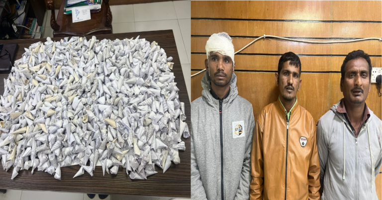 বাদামের প্যাকেটের আড়ালে গাঁজা বিক্রি !