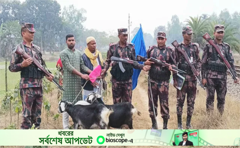 বিজিবি-বিএসএফ পতাকা বৈঠকে দেশে ফিরল ৩ ছাগল