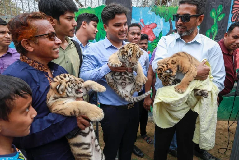 জনসম্মুখে বাঘ দম্পতি বাইডেন-জয়ার ৩ কন্যা