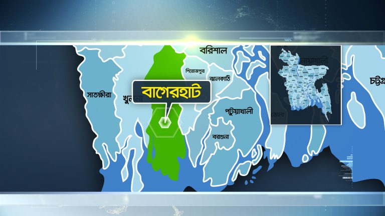 শরণখোলায় মরা গরুর মাংস বিক্রির অপরাধে আটক ২