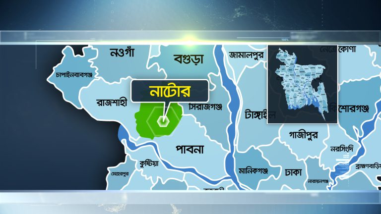 নাটোরে সড়ক দুর্ঘটনায় চালকসহ নিহত ৩