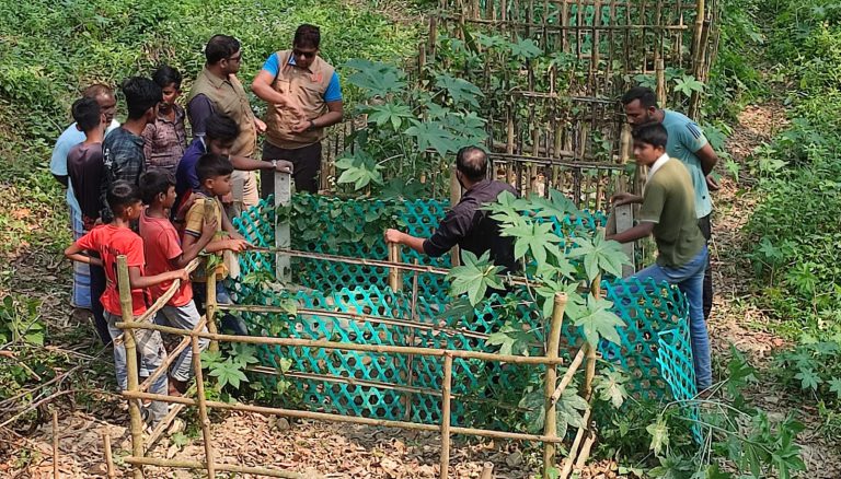 মানিকগঞ্জে কবরস্থান থেকে ১৮টি কঙ্কাল চুরি