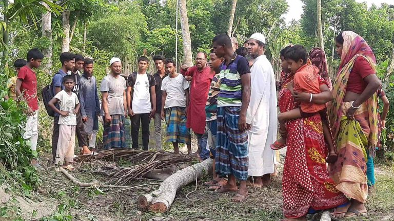মোল্লাহাটে বলাৎকারের পর হাত পা ও মুখ বেঁধে শিশুকে হত্যা