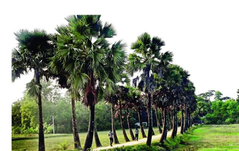 চিত্তরঞ্জন দাসের অনন্য নজির