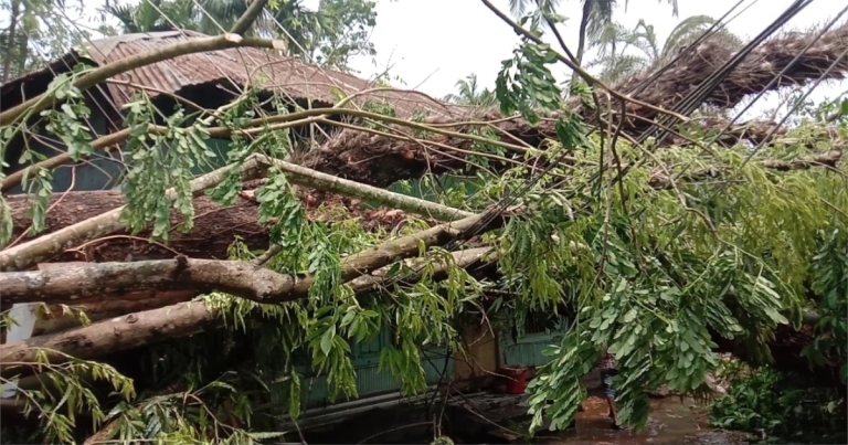 পিরোজপুরে ঘূর্ণিঝড়ে লন্ডভন্ড শত শত বাড়িঘর, নিহত ১