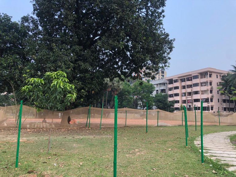 তাজউদ্দিন পার্ক উদ্ধারের দাবি পবার