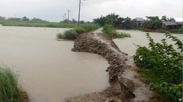 জলোচ্ছ্বাসে ভাসল হাজারো ঘের, মাছ ধরায় ব্যস্ত শিকারিরা