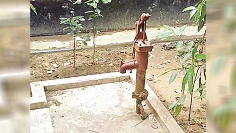 রাজবাড়ী ও যশোরে পানির তীব্র সংকট