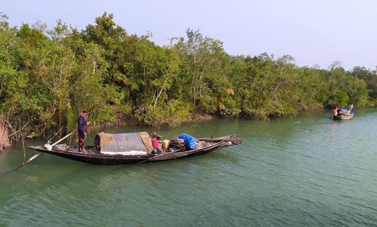 সুন্দরবনে প্রবেশে ৩ মাসের নিষেধাজ্ঞা