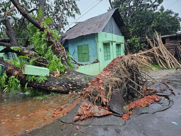 ফেনীতে কালবৈশাখী ঝড়ে বিদ্যুৎ বিচ্ছিন্ন  ৩ লাখ গ্রাহক