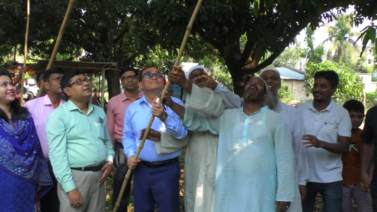 আজ থেকে বাজারে মিলবে চুয়াডাঙ্গার আম