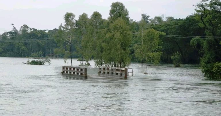 সিলেটে বন্যায় পানিবন্দি সাড়ে ৫ লাখ মানুষ