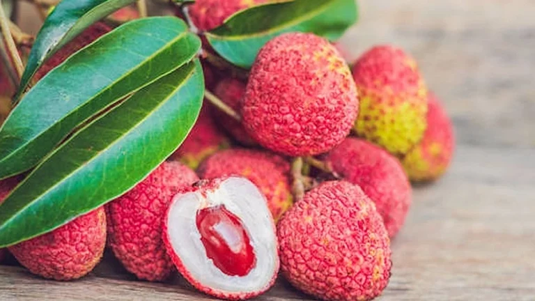 গলায় লিচুর বিচি আটকে আ. লীগ নেতার মৃত্যু