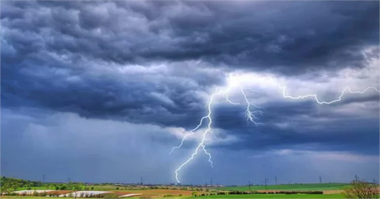 হাওরে ধান কাটার সময় বজ্রপাতে কৃষকের মৃত্যু