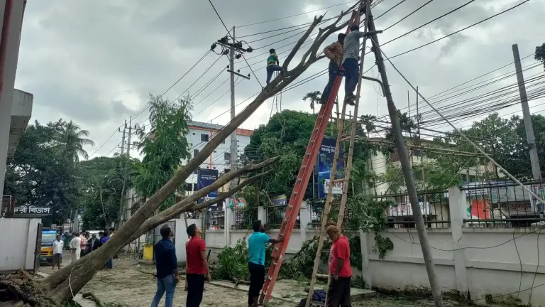ঘূর্ণিঝড় রেমালে বিদ্যুৎহীন ২ কোটি ২২ লাখ মানুষ