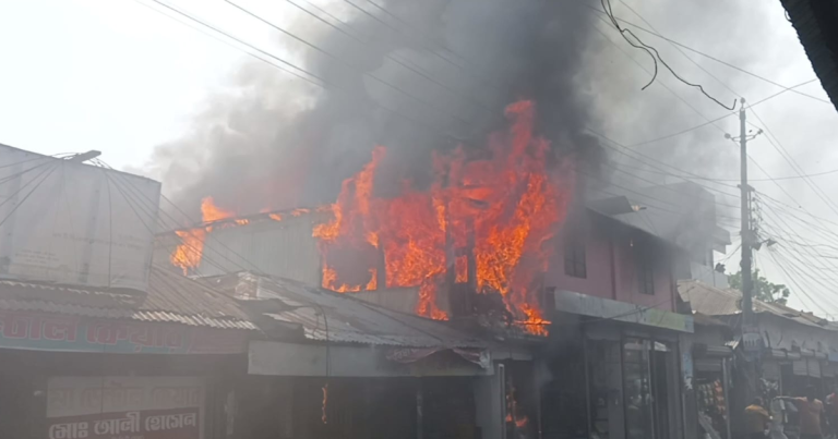 শরীয়তপুরে অগ্নিকাণ্ডে ৯ দোকান ক্ষতিগ্রস্ত