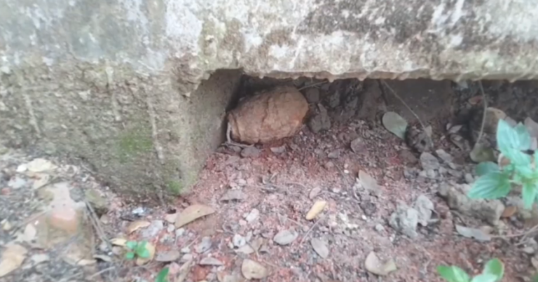 চট্টগ্রামে কবর খুড়তে গিয়ে বোমা উদ্ধার